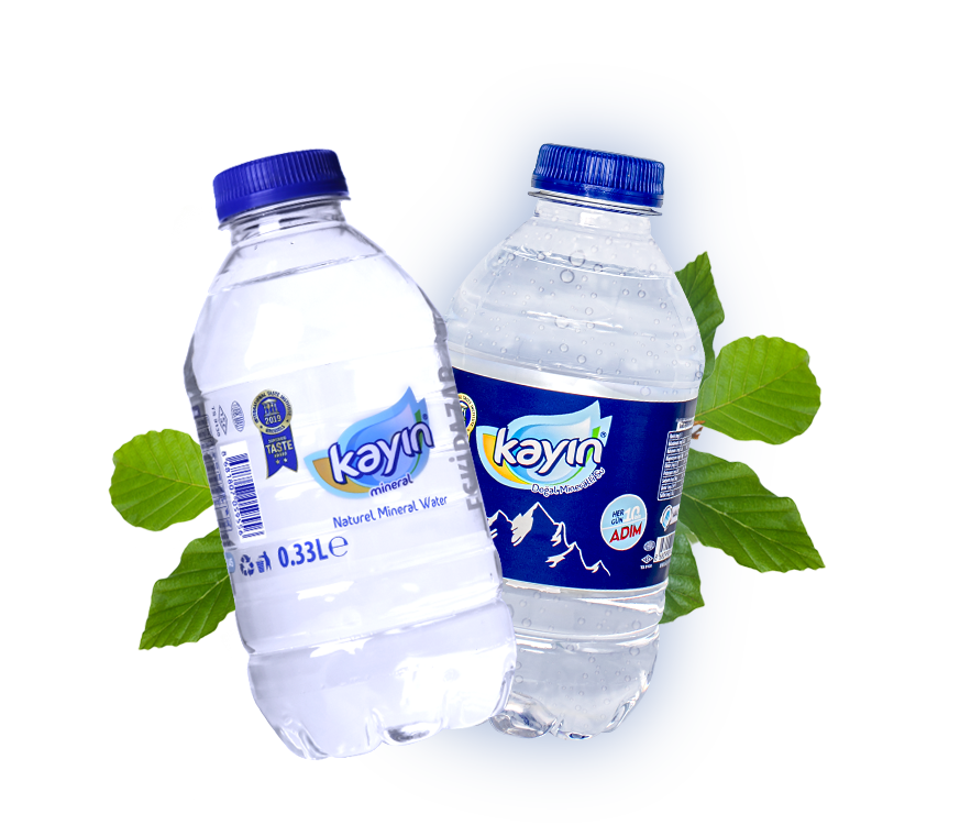 Kayın Su Trabzon Bayii – KAYIN 330mL Pet Şişe
